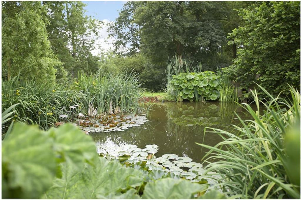 Ebony Cottage Tenbury Dış mekan fotoğraf