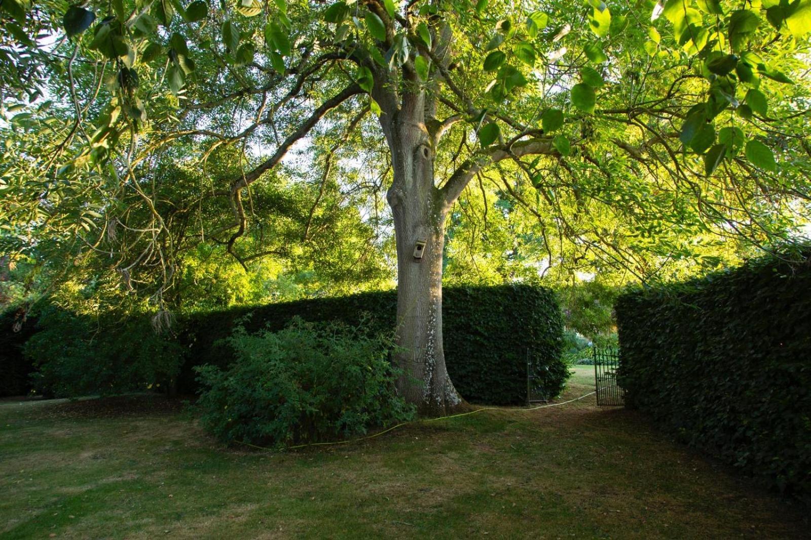 Ebony Cottage Tenbury Dış mekan fotoğraf